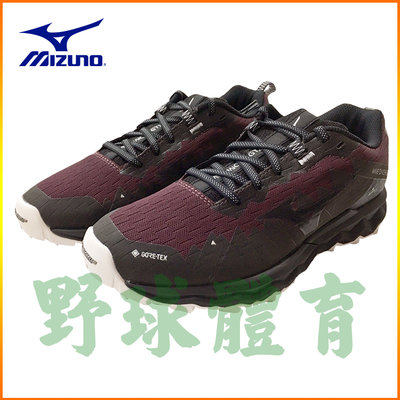 MIZUNO WAVE DAICHI 6 GTX 女款越野慢跑鞋 J1GK215642