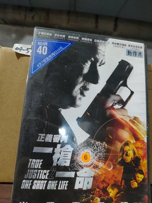 正版DVD-電影【一槍一命：正義審判】-史蒂芬席格 傑西哈契 莎拉林德(直購價)