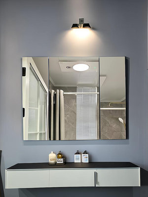 鏡單獨浴室鏡子吊儲物置物洗臉盆掛墻式壁掛收納浴室 自行安裝