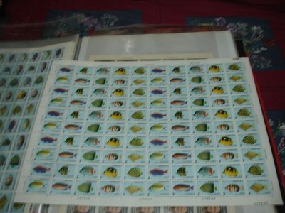 特 234 臺灣產珊瑚礁魚類郵票 大全張  上品 挺版
