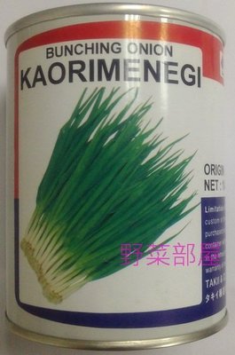 【野菜部屋~】D11 日本芽蔥種子0.65公克 ,特殊的香味 ,常用於高級料理 ,每包15元~