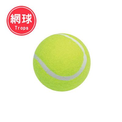 【成功SUCCESS】特波士 一般網球 4311