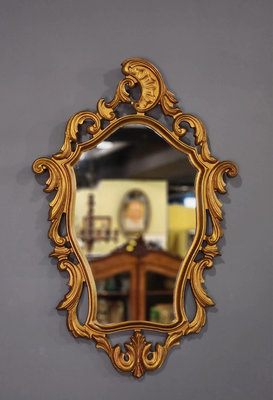 法國 洛可可 實木雕刻 深邃 刷金  古典 掛鏡 玄關鏡 半身鏡 浴室鏡 歐洲老件 MI0129【卡卡頌  歐洲古董】✬
