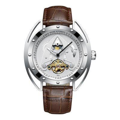 男士手錶瑞士品牌tevise爆款男士機械表多功能全自動防水3