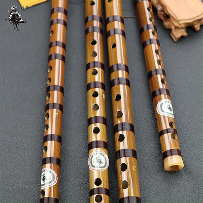 笛子初學演奏橫吹竹笛二節古風成人零基礎入門民族樂器送笛膜