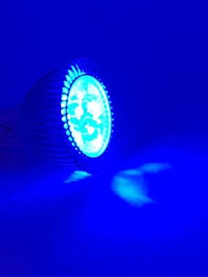 MR16藍光燈泡MR16紅光燈泡MR16綠光燈泡GU5.3 附驅動全組E27藍色射燈泡GU10射燈紅藍綠射燈