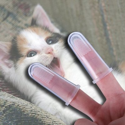 現貨 硅膠指套 貓 狗 牙齒 除口臭 幼兒 牙刷 寵物 指套刷 手指 ❃彩虹小舖❃【E003】 寵物 矽膠 指套 牙刷