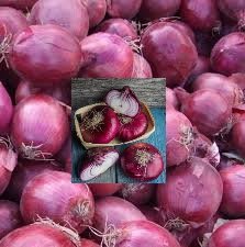紫色洋蔥火鍋生菜沙拉盤飾泡紅酒5公斤/1公斤3至5顆(下標前問庫存)