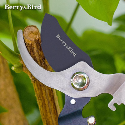 Berry&Bird園藝剪刀園林果樹花卉盆景粗枝專用修枝剪省力園藝工具