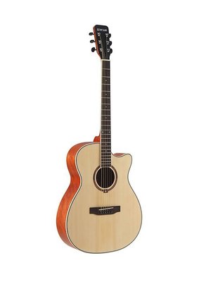 【老羊樂器店】開發票 STARSUN 星臣吉他 TG220C-P 亮光 40吋 民謠吉他 木吉他 贈琴袋