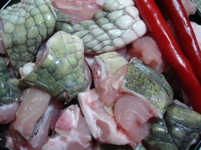 (恩愷食品)鱷魚尾 1台斤=500元  另有各類鱷魚肉品,鹿肉,鱷魚肉燒烤.鹿肉批發零售.鹿肉串燒.