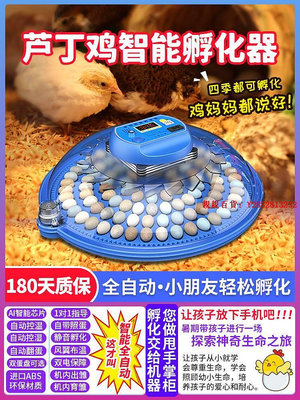 親親百貨-蘆丁雞孵化蛋種蛋受精蛋可孵化孵蛋器全自動寵物孵化箱小型家用型滿300出貨