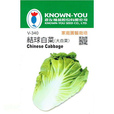 種子王國 結球白菜【蔬果種子】 大白菜 農友牌 小包裝種子 約80粒/包
