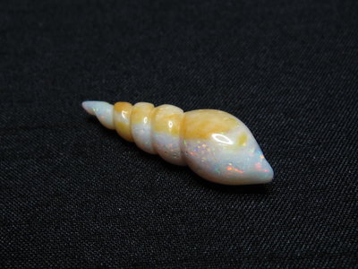 澳洲 蛋白石 雕刻 藝術 雕件 金紋海螺 7.9克拉 【Texture & Nobleness 低調與奢華】橘11