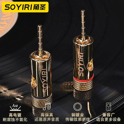 SOYIRI 純銅鍍金針插頭 發燒音響功放喇叭接線柱針式音頻連接頭~半島鐵盒
