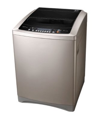 TECO東元 16公斤 變頻直立式洗衣機 W1601XG 原廠保固 全新品 新機上市