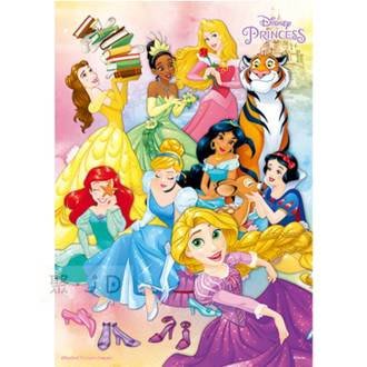 P2 拼圖 HPD0108-194 Disney Princess 公主(8) 108 片盒裝拼圖【小瓶子的雜貨小舖】