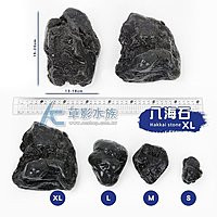 AC草影】八海石（XL/2kg）【一組】BSK01011 | Yahoo奇摩拍賣