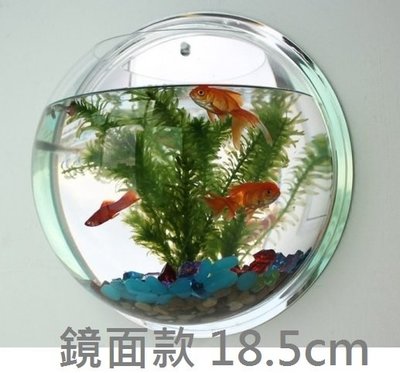 【鏡面款/透明款 - 中型】壁掛魚缸 缸懸掛式小魚缸 壓克力掛墻魚缸 養魚 種花 族箱 掛壁 牆上花盆
