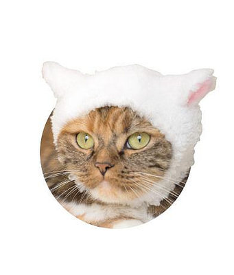 龍廬-自藏出清~扭蛋-奇譚俱樂部第4彈軟綿綿羊角帽貓咪帽子-單售沒羊角白色/只有一個/貓咪專屬頭巾 頭套裝飾拍照