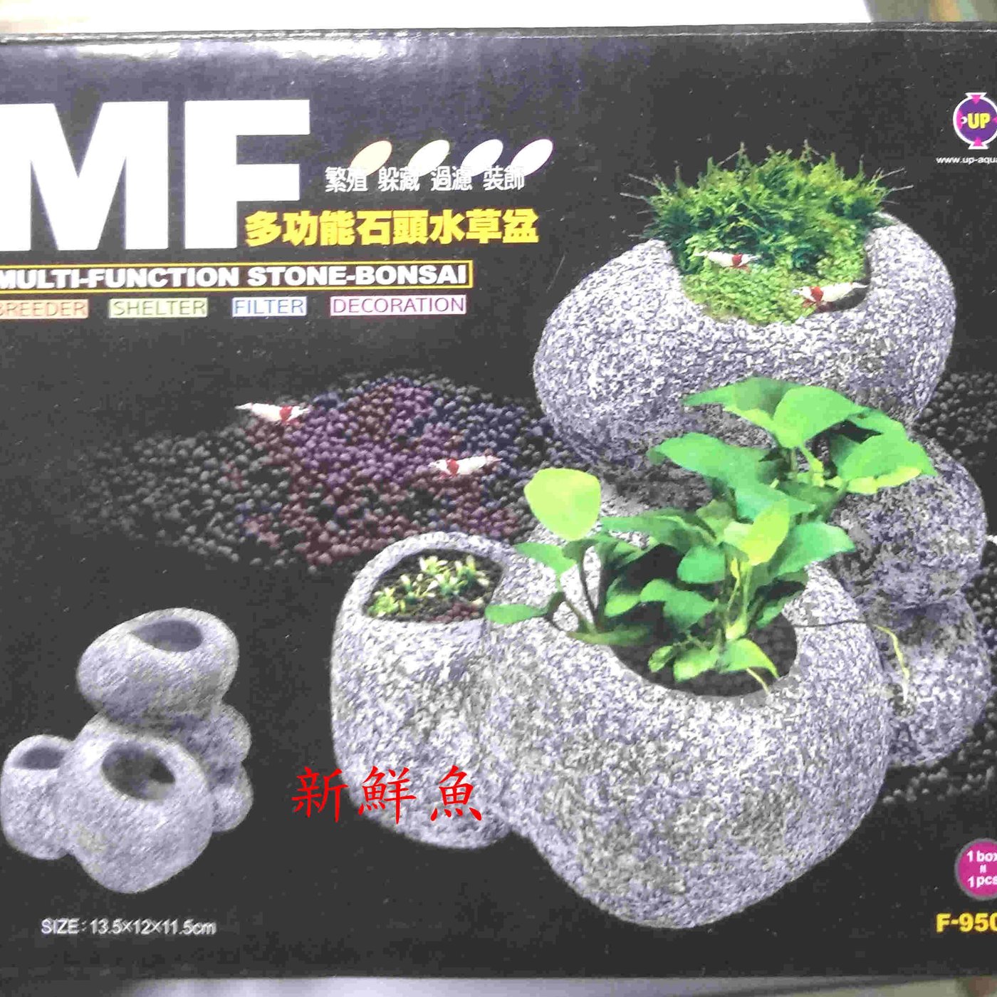 新鮮魚水族館 實體店面 裝飾品 F 950 L 台灣up 雅柏mf 多功能石頭水草盆l號 Yahoo奇摩拍賣