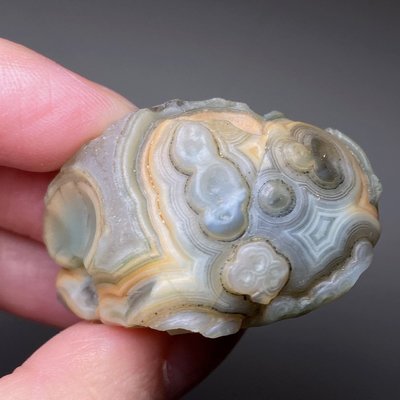 【巽玉閣】阿拉善戈壁多眼油潤眼睛石片原石單顆19-奇石收藏,標本,原礦,原石,把件