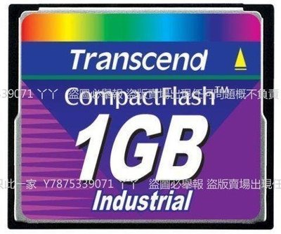 TRANSCEND創見 CF 1G 工業CF卡1GB 數控工控加工中心用 TS1GCF45I丫丫