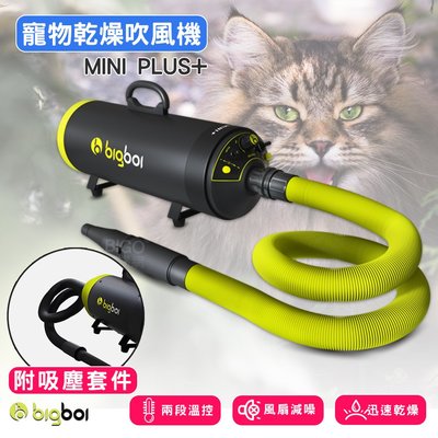 【少量現貨】bigboi MINI PLUS+ 寵物乾燥吹風機(附吸塵套件) 吹水機 寵物吹水機 雙馬達吹風機