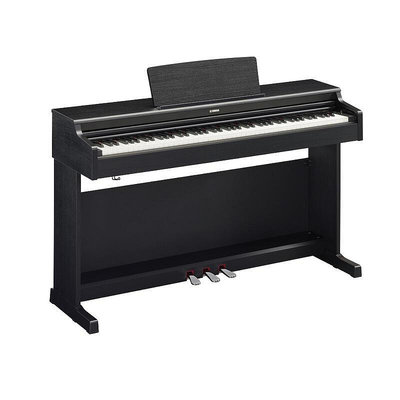 YAMAHA YDP-165 數位鋼琴 電鋼琴 88鍵鋼琴 鋼琴 原廠公司貨 全新