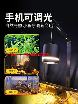 魚缸燈魚缸水草筒燈變色草缸專業照明爆藻支架夾燈吊燈南美原生溪流缸