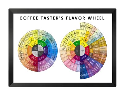 [現貨]彩色裝飾海報 咖啡風味輪 裝飾畫coffee flavor wheel 臥室宿舍客廳牆畫 復古牛皮紙海報咖啡廳