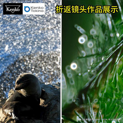 鏡頭Kenko肯高 400mm F8 折返鏡 定焦遠攝 適用于佳能EF\RF 尼康 索尼