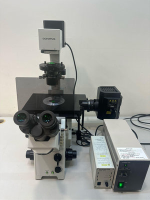 Olympus IX71 倒立螢光顯微鏡 Inverted fluorescence microscope