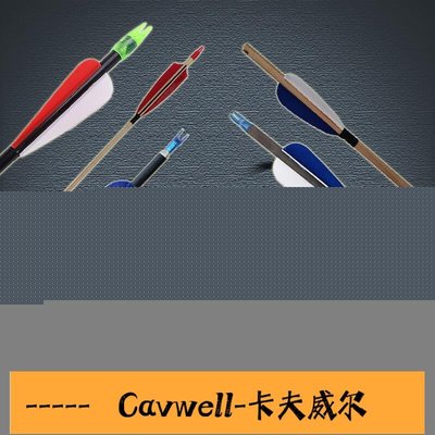 Cavwell-復合弓弓箭 支射擊玻纖箭桿 反曲弓箭 毛刷箭臺箭支箭矢 一打一組-可開統編