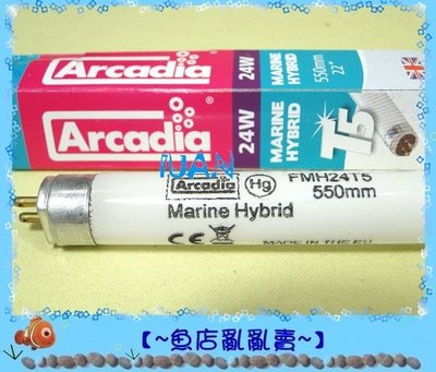 【~魚店亂亂賣~】英國Arcadia阿卡迪亞燈管T5 新超亮海水鹵素燈管(淡藍色) 24W