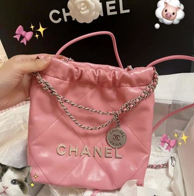 二手CHANEL 春夏系列 mini 20 bag AS3980粉色
