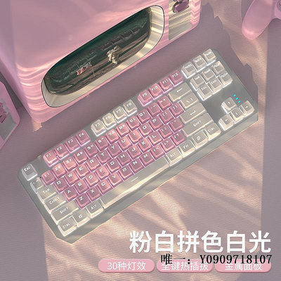 有線鍵盤前行者機械鍵盤鼠標套裝87鍵游戲電競電腦青軸有線女生辦公r75鍵盤套裝