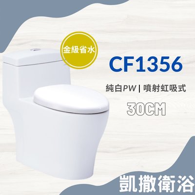 YS時尚居家生活館 凱撒二段式省水單體馬桶CF1356-30cm