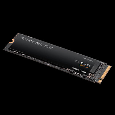 KINGSTONE SN750 NVMe PCIe Gen.3 x4 SSD 500GB