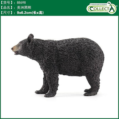 英國CollectA我你他仿真野生動物模型玩具兒童認知88698美洲黑熊