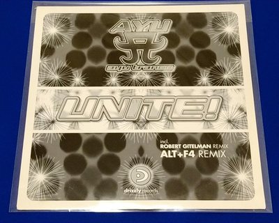 濱崎步 UNITE PART 2 2005年德國限定限量混音黑膠LP