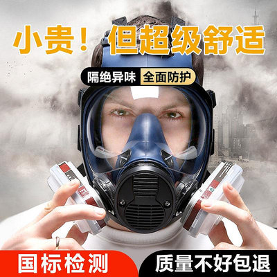 普達防毒面具全面罩生化噴漆護目鏡氨氣防護全臉專用呼吸防塵油漆