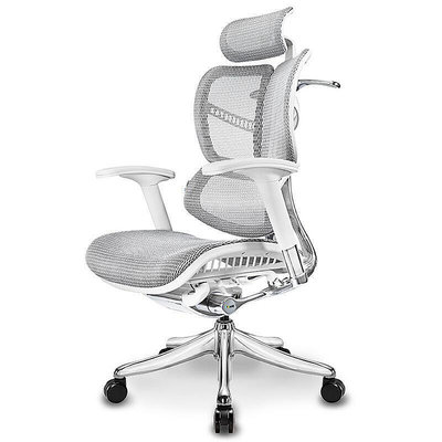 【發財百貨】Ergomax Evolution電腦椅人體工學椅家用電競椅辦公椅椅子 靠背椅