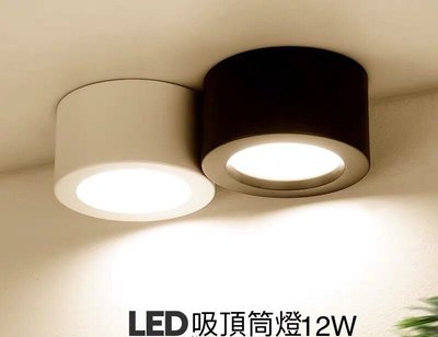 LED吸頂筒燈 LED12W吸頂燈 白光/自然光/黃光