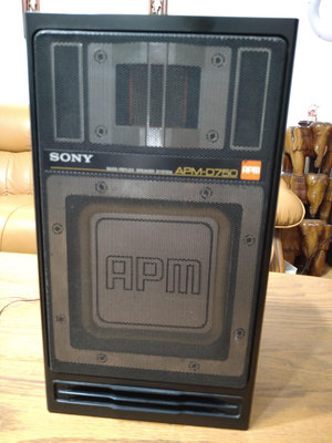 SONY APM-D750,日本製,方形平面,全音域喇叭,音質極佳,稀有品,古董喇叭,單體正常,只有一支音箱..