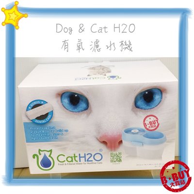 BBUY DOG&CAT H2O 有氧濾水機 DOG & CAT 2L 自動循環式 淨水飲水器 活水機 藍色下標區