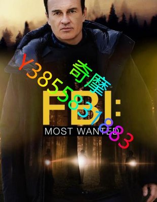 DVD 賣場 歐美劇 聯邦調查局：通緝要犯部第三季/FBI: Most Wanted 2022年