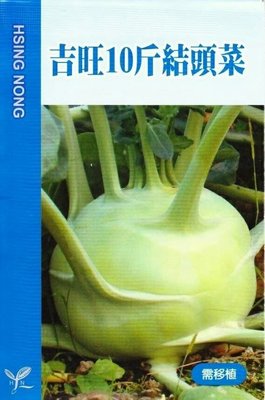 結頭菜 吉旺10斤結頭菜【蔬果種子】大頭菜 興農牌 中包裝種子 約35粒/包