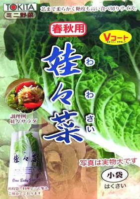 日本娃娃菜種子100粒50元