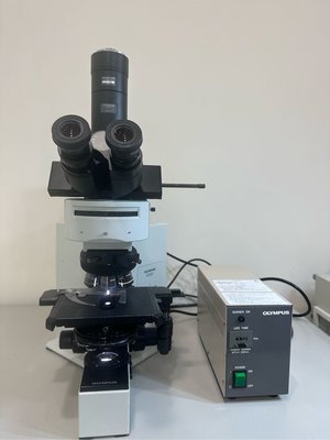 Olympus BX50 Fluorescence Microscope三眼螢光顯微鏡(DIC)